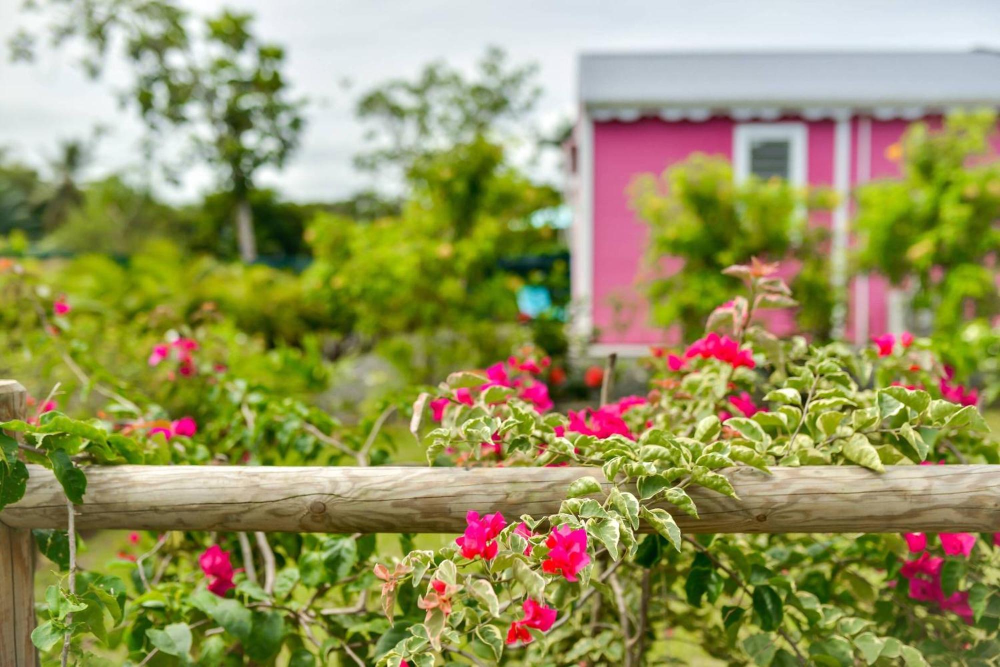 Les Jardins De Chantilly -Bungalows 4 Etoiles Avec Jardins Et Piscines Privees Baie-Mahault Room photo